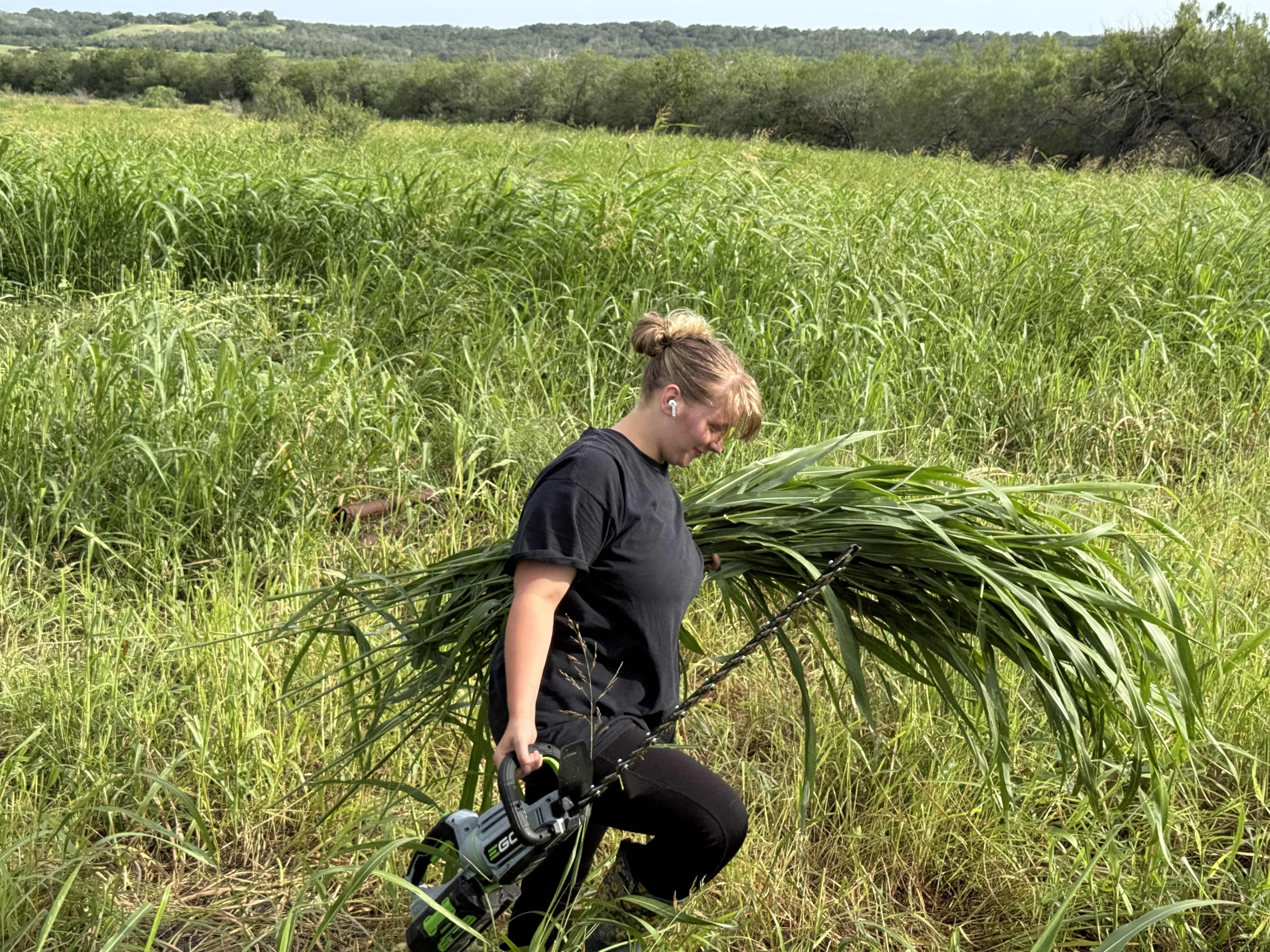 A person carrying harvested crops and tools while walking through a green field.